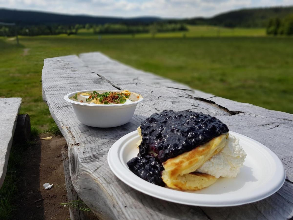 Enjoyharrachov - Atraktivni Slunne Studio Certovka V Centru Harrachova S Garazovym Parkovanim, Wifi-Wlan, Sat, Herni Konzoli, Netflix Zdarma A Nejkrasnejsim Vyhledem Na Certovu Horu S Arealem Skokanskych Mustku A Sjezdovku Екстериор снимка