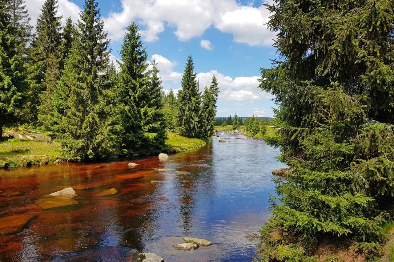 Enjoyharrachov - Atraktivni Slunne Studio Certovka V Centru Harrachova S Garazovym Parkovanim, Wifi-Wlan, Sat, Herni Konzoli, Netflix Zdarma A Nejkrasnejsim Vyhledem Na Certovu Horu S Arealem Skokanskych Mustku A Sjezdovku Екстериор снимка